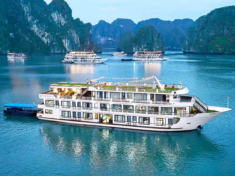 Aqua Elegance Cruise - 2 Days 1 Night - Halong Bay