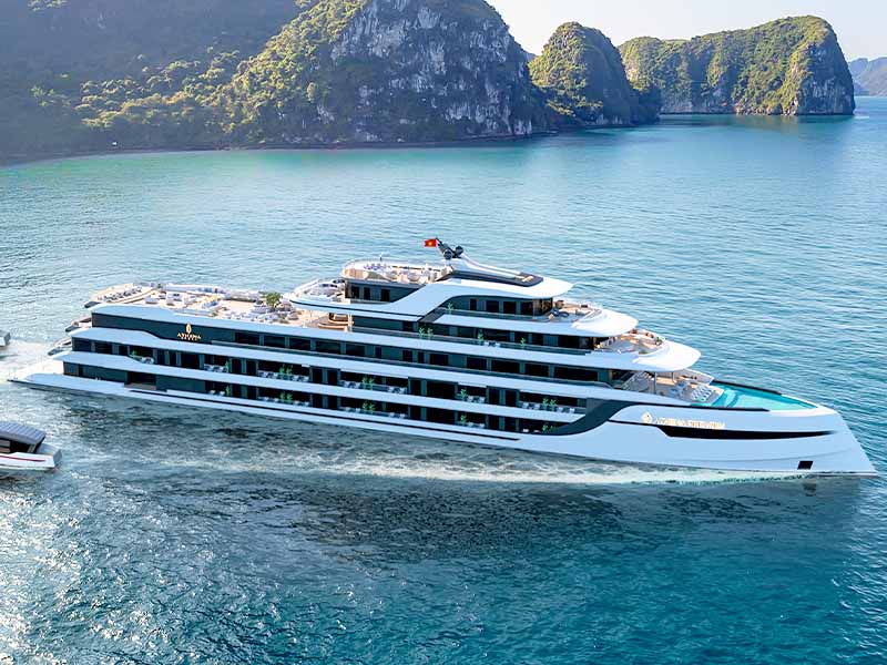 Athena Premium Cruise - 2 Days 1 Night - Halong Bay