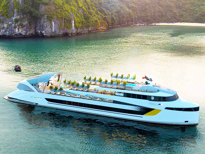 Dolphin Cruise - 1 Day Tour - Halong Bay 