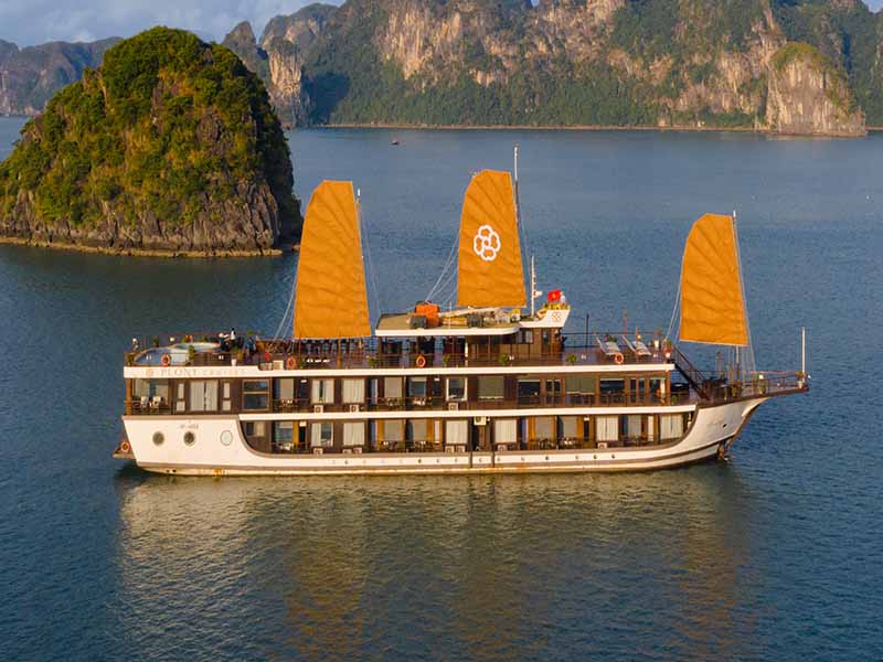 Peony Cruise - 2 Days 1 Night - Halong Bay & Lan Ha Bay
