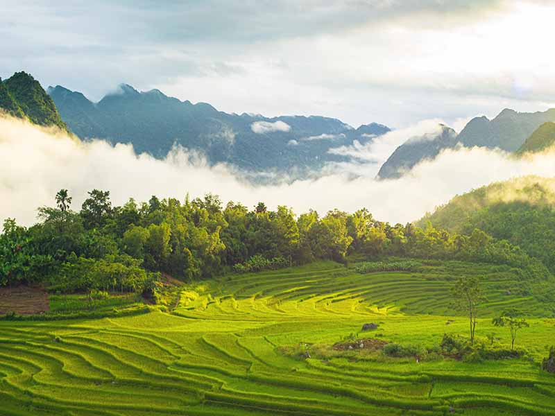 Halong Bay Cruise Package - 4 Days 3 Nights: Hanoi - Halong Bay & Lanha Bay - Mai Chau - Pu luong - Hanoi