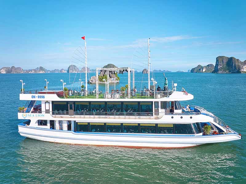 Sea Lion Cruise - 1 Day Cruise - Halong Bay